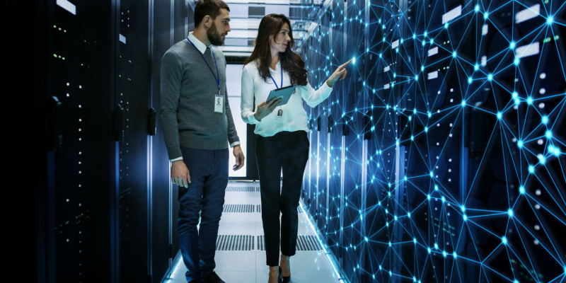 Network Administrator